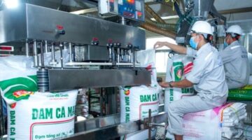 ضغوط مضاعفة تلاحق مزارعي الأرز في ظل تقلبات السوق الحالية المتقلبة