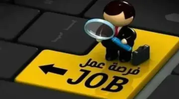 طريقة التقديم على وظائف بوابة الحكومة المصرية 2026 والشروط والمستندات المطلوبة