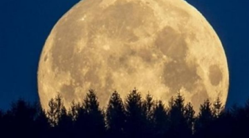 ظاهرة فلكية تزين سماء مصر والوطن العربي مع ظهور بدر الخزامى اليوم