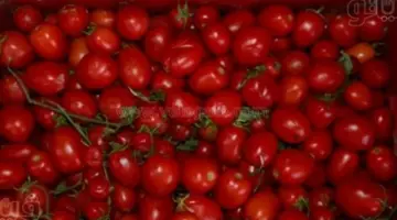 قائمة أسعار الخضروات اليوم: الطماطم تسجل 18 جنيهًا في الأسواق المصرية منذ قرابة 5 ساعات