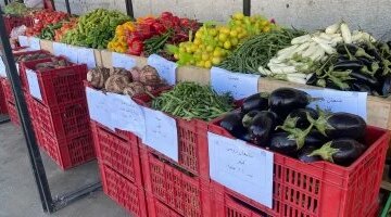 قائمة أسعار الخضار في سوق سوهاج اليوم بعد تسجيل البطاطس 10 جنيهات