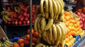 قائمة أسعار الفاكهة: ارتفاع سعر البرتقال وتراجع تكلفة الجوافة والفراولة في الأسواق