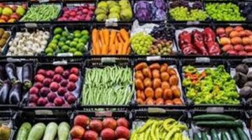 قائمة محدثة بأسعار الخضروات في سوق العبور تثير تساؤلات المستهلكين حول التكلفة