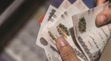 قانون التأمينات يحدد 6 حالات تستحق الحصول على معاش شهري ثابت بانتظام