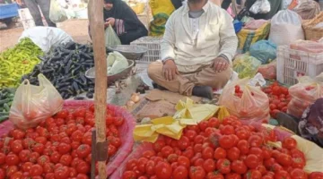قفزة أسعار الطماطم إلى 25 جنيها تلقي بظلالها على أسواق الخضار والفاكهة