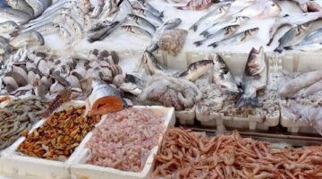 قفزة في أسعار البوري وتذبذب تكلفة السمك البلطي الثلاثاء 24 مارس 2026