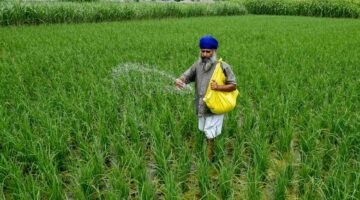 كيف تؤثر التوترات مع إيران على استقرار الإمدادات الغذائية في الأسواق العالمية؟