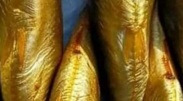 كيف تميز بين الرنجة والفسيخ السليم والفاسد قبل إتمام عملية الشراء؟