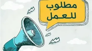 للمؤهلات العليا والمتوسطة.. وظائف متاحة براتب يصل إلى 18 ألف جنيه