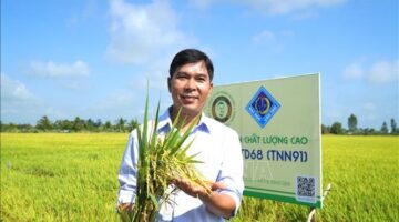 مزايا استثنائية في صنف الأرز الجديد تثير تفاعلاً واسعاً بين المزارعين الحاضرين