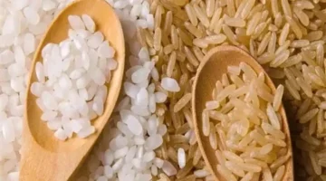 مستجدات أسعار الأرز الشعير في الأسواق المحلية خلال تعاملات اليوم المتقلبة