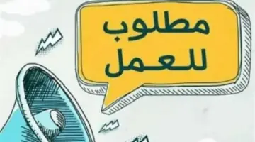 مستقبلك في الحكومة.. تحديث يومي لأهم الوظائف المتاحة عبر بوابة الوظائف الحكومية