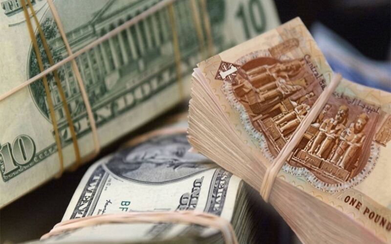 مصر.. الدولار يسجل صعوداً تاريخياً ويحطم الأرقام القياسية!