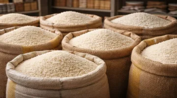 مصر تطرح أصناف أرز جديدة لزيادة الإنتاجية وخفض استهلاك مياه الري للنصف