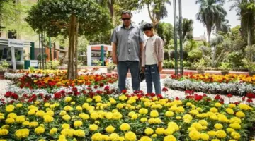 مع تواصل التقلبات الجوية.. مدة فصل الربيع 2026 فلكيًا وموعد انتهائه.