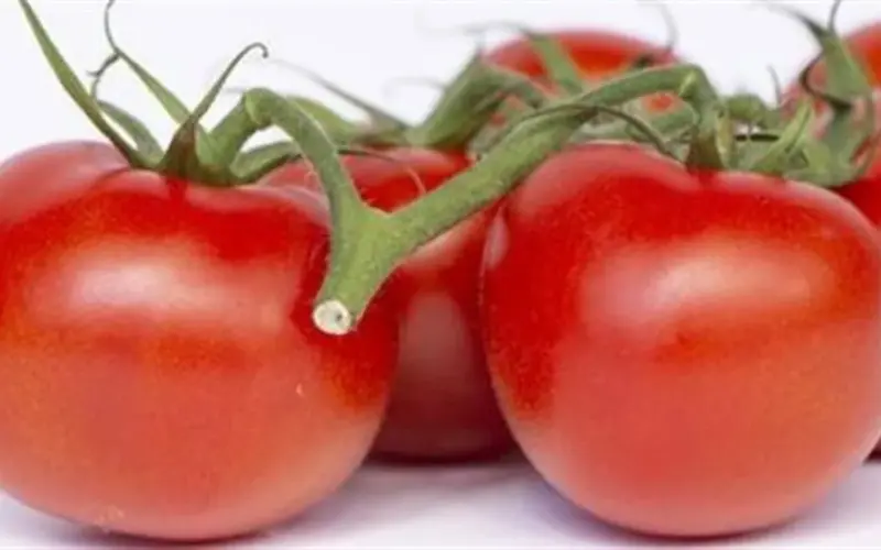 مفاجآت في أسعار الخضروات اليوم: انخفاض البصل الأبيض واستقرار سعر الطماطم