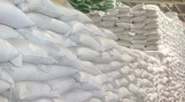 مقاطعة تاي نينه توفر دعماً بالأرز لـ 553 طالباً من الأقليات العرقية