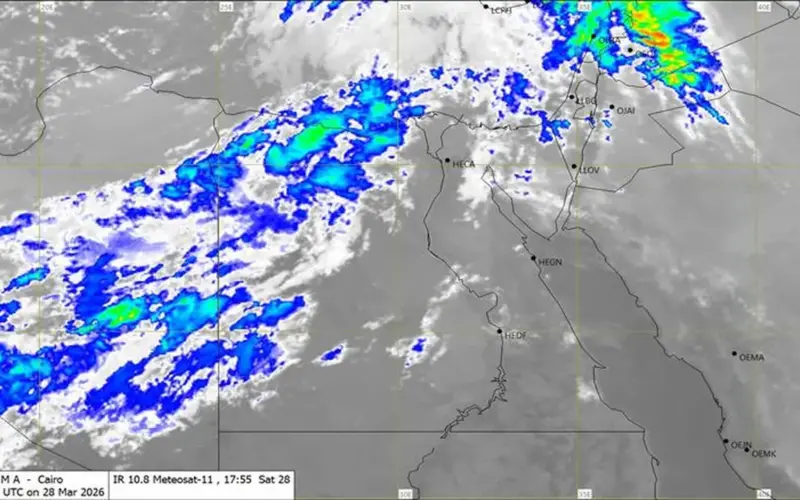 هطول أمطار على 4 مدن بالسواحل الشمالية.. «الأرصاد» تحذر من نشاط الرياح والأتربة