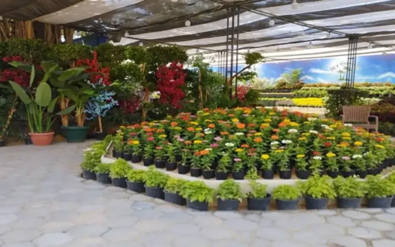 «لكل لون معنى ومغنى».. دليلك الشامل لزيارة معرض زهور الربيع 2026 في الدقي