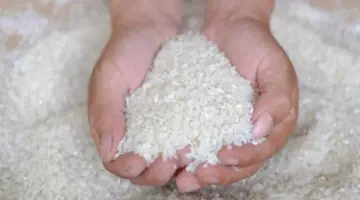 أسعار الأرز اليوم.. استقرار ملحوظ مع ارتفاع الإنتاج المحلي