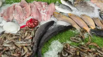 أسعار الأسماك اليوم 18-4-2026 في سوق العبور.. تراجع البلطي