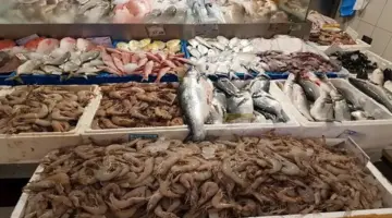 أسعار الأسماك اليوم 28-4-2026 في سوق العبور