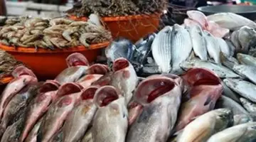 أسعار الأسماك اليوم الأحد 19-4-2026 في سوق العبور.. القراميط بـ30 جنيهاً