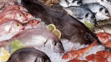 أسعار الأسماك اليوم الأربعاء 29 أبريل 2026 في سوق العبور للجملة.. البلطي والجمبري يتصدران القائمة