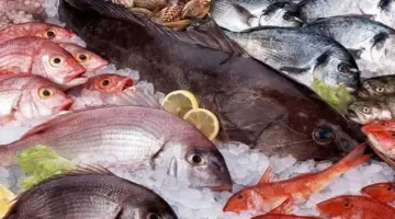 أسعار الأسماك اليوم الأربعاء 8 أبريل 2026 في البورصة