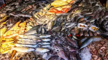 أسعار الأسماك اليوم الإثنين 20 – 4