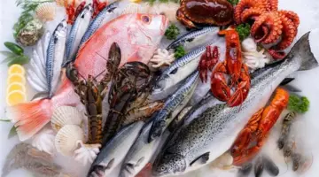 أسعار الأسماك اليوم.. تراجع الجمبري مقابل ارتفاع الماكريل والساردين.