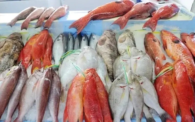 أسعار الأسماك والمأكولات البحرية اليوم الاثنين بسوق العبور