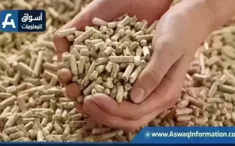 أسعار الأعلاف اليوم الأربعاء لدى التاجر.. طن العلف وصل لكام | أسعار السلع