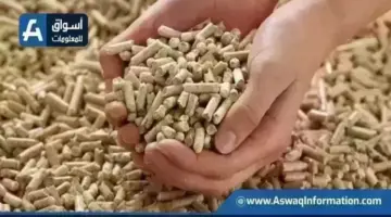 أسعار الأعلاف اليوم الخميس لدى التاجر.. طن العلف وصل لكام | أسعار السلع