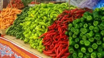 أسعار الخضار والفاكهة اليوم الخميس 16-4-2026 بفروع المجمعات الاستهلاكية