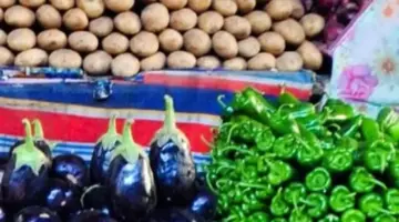 أسعار الخضار والفاكهة اليوم الخميس 23 إبريل 2026 فى المنوفية