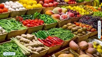 أسعار الخضراوات والفاكهة اليوم الثلاثاء 21 أبريل 2026 بين تراجع الطماطم وقفزات الفاكهة