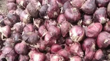 أسعار الخضراوات والفاكهة والدواجن بالفيوم اليوم الثلاثاء.. البصل بـ 15 جنيهاً