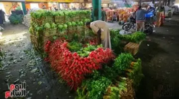 أسعار الخضروات بالمتاجر والأسواق بمحافظة الأقصر اليوم السبت 18 أبريل 2026