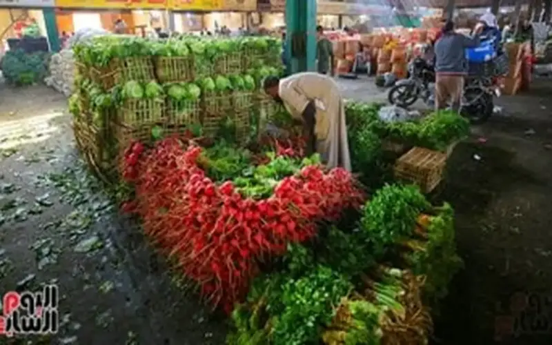 أسعار الخضروات بالمتاجر والأسواق بمحافظة الأقصر اليوم السبت 18 أبريل 2026