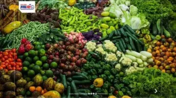 أسعار الخضروات في سوق العبور اليوم الخميس 23 أبريل 2026