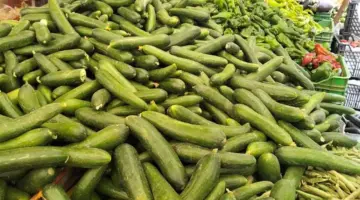 أسعار الخضروات والفاكهة بسوق العبور اليوم