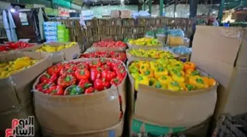 أسعار الخضروات والفاكهة والدواجن بالفيوم اليوم السبت