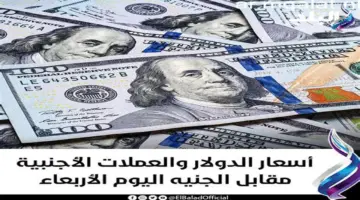 أسعار الدولار والعملات الأجنبية اليوم الأربعاء 29 – 4 – 2026 – مقالات نيوز