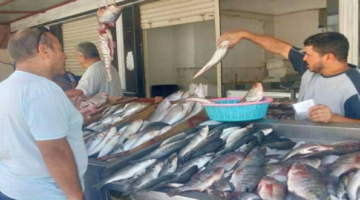 أسعار السمك البلطي والسردين والجمبري اليوم السبت 4 أبريل 2026 في سوق العبور والأسواق المصرية: تحديث يومي لأفضل الأسعار للمستهلك