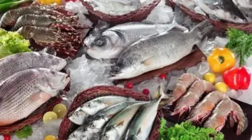 أسعار السمك اليوم الإثنين 6 أبريل 2026 مع قرب عيد شم النسيم