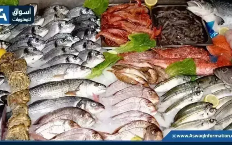 أسعار السمك اليوم الثلاثاء بسوق العبور.. الجمبري حيّر الناس | أسعار السلع