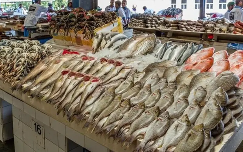 أسعار السمك اليوم الخميس 2 أبريل 2026.. تراجع كبير في البلطي والجمبري