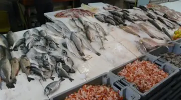 أسعار السمك اليوم الخميس، تراجع 3 أصناف منها البلطي والبوري وارتفاع الجمبري 50 جنيها