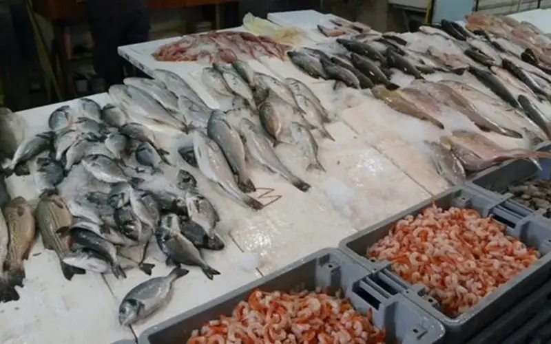 أسعار السمك اليوم الخميس، تراجع 3 أصناف منها البلطي والبوري وارتفاع الجمبري 50 جنيها